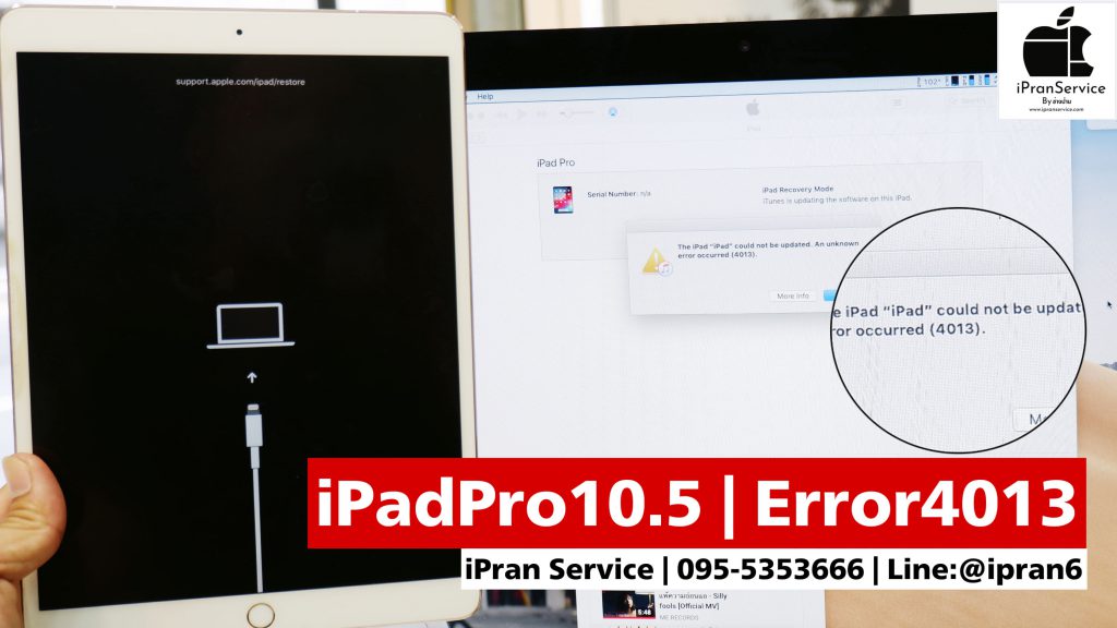 iPad Error4013